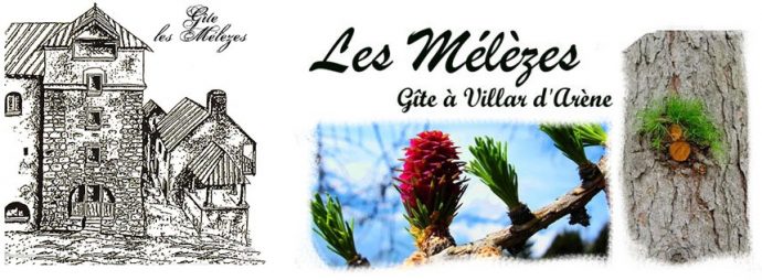 Logo Les Melezes