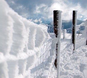 Lire la suite à propos de l’article En hiver